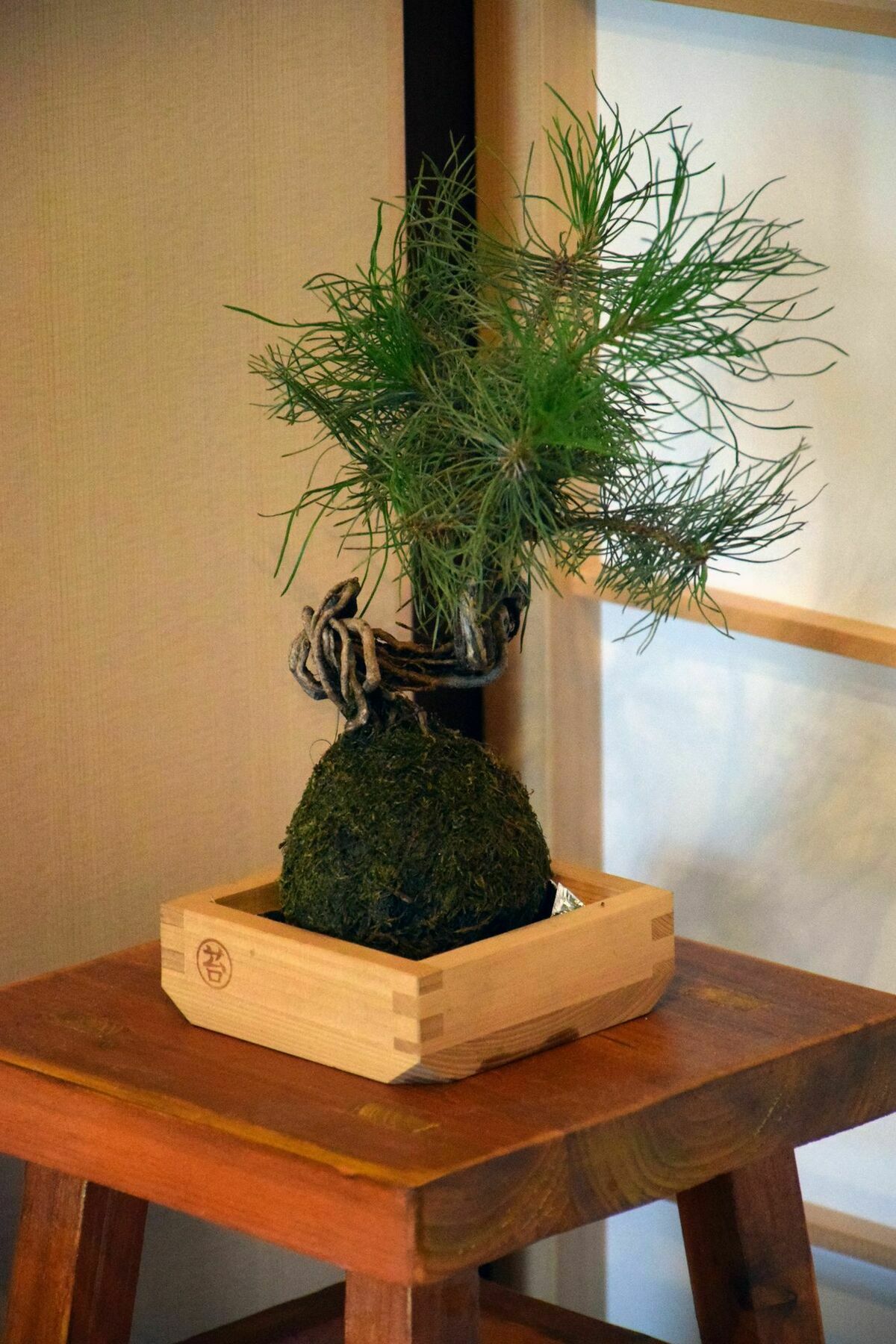 Guesthouse Hanamiya Киото Екстериор снимка